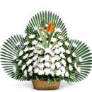 천안베스트원요양병원 이미지