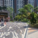 퐁실하개 이미지