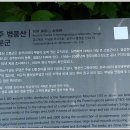 상주 병풍산 고분군 Daum카페
