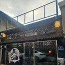 파츠(PARTS) | 2025. 12. 10. 수. <Cats Parts>: 고양이 매력 조각전 - 도자기 워크숍: 고양이 달항아리 체험 후기