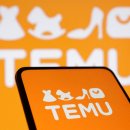 테무, 셰인, 소포 관세 인상 앞두고 미국 매출 급증 전망 이미지