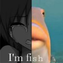 제천배드민턴체육관 배드민턴체육관 | “해보자 뭐든지!”