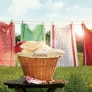 일광세탁 이미지