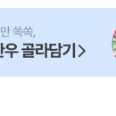 얼리썸머 - 부평구 길주로585번길 8-2 | 얼리썸머
