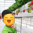 동심농장 이미지