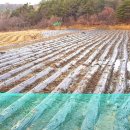 경동로(서) Daum카페