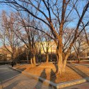 UP PC ZONE | 2026 MONSTA X WORLD TOUR [THE X : NEXUS] 중콘 후기