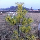 여송농장 이미지