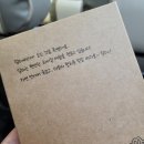 운탄고도 5길 우중트레킹 후기 [알레 버스]