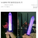 홍누나