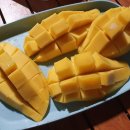 들꽃피는언덕 캠핑장 이미지