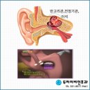 향남두리이비인후과