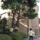 쌍용스윗닷홈경로당 이미지