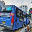 주정차단속-102 이미지