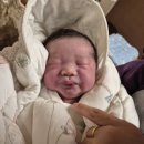 대로2-39 | [토미::39주]🎉축🎉토미탄생, 제왕절개 경산모 산부인과 4박5일 후기