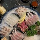 낭만물고기 이미지