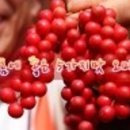 마이산골힐링팜