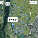 함박농장 이미지