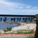 바다 풍경 이미지