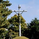 하모리-21 이미지