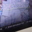 넷플릭스 요금제 광고형 스탠다드 네이버 플러스 멤버십으로 무료 이용 후기