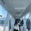 4월의 제주 기록하기🌼 [1편 일정표/코스/비용]