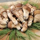 연호농장 이미지