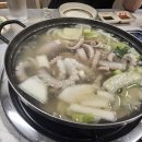 박속낙지 티스토리