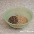 솔로몬농장 이미지