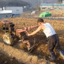 고골농장 이미지