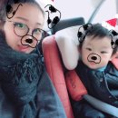 곰배령숲사랑방1