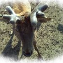 나비랑 한옥 이미지