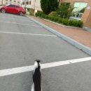 면천보건지소 이미지