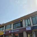 비타민샤브칼국수 | 북한산 맛집 홍백미나리샤브칼국수 후기