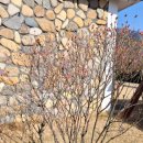 청도강변돌고래펜션 이미지