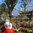 하단동1142 이미지