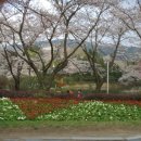 오늘의 경주 이미지