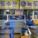 [보령]대천항 맛집 횟집 녹도수산 리얼후기 | 쫀득한 찰광어+갑오징어