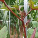 태농농장 이미지