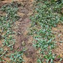 남원읍-65 이미지