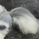 씨씨크래프트