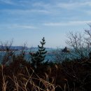 노화읍-1 이미지