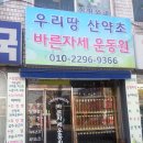 신정약초 이미지