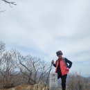 백운산 태화강 발월지 탐골섐 이미지