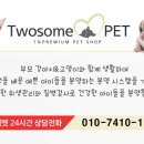 투썸펫 이미지
