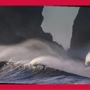 우림농산물 이미지