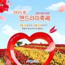 섬 맨드라미 축제 이미지