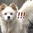 소라농장 이미지