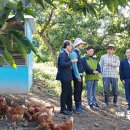 밤나무축산 이미지