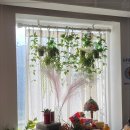 사랑방맛집 이미지